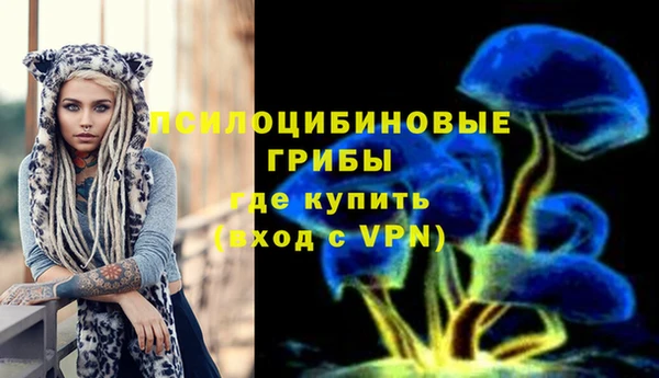 стаф Заволжье