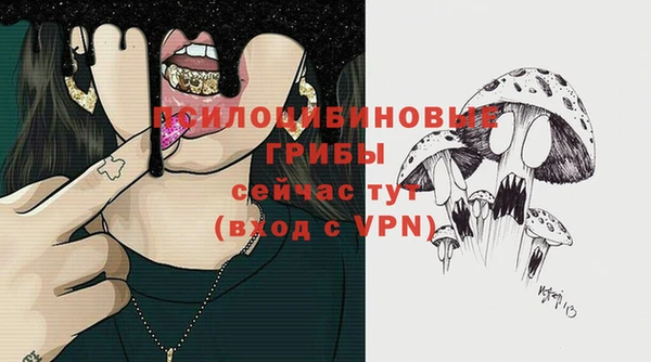 стаф Заволжье
