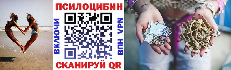 Галлюциногенные грибы Psilocybine cubensis  hydra ссылки  Западная Двина 