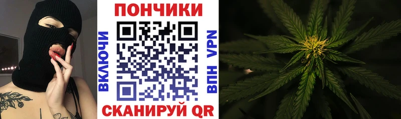 Конопля AK-47  Западная Двина 
